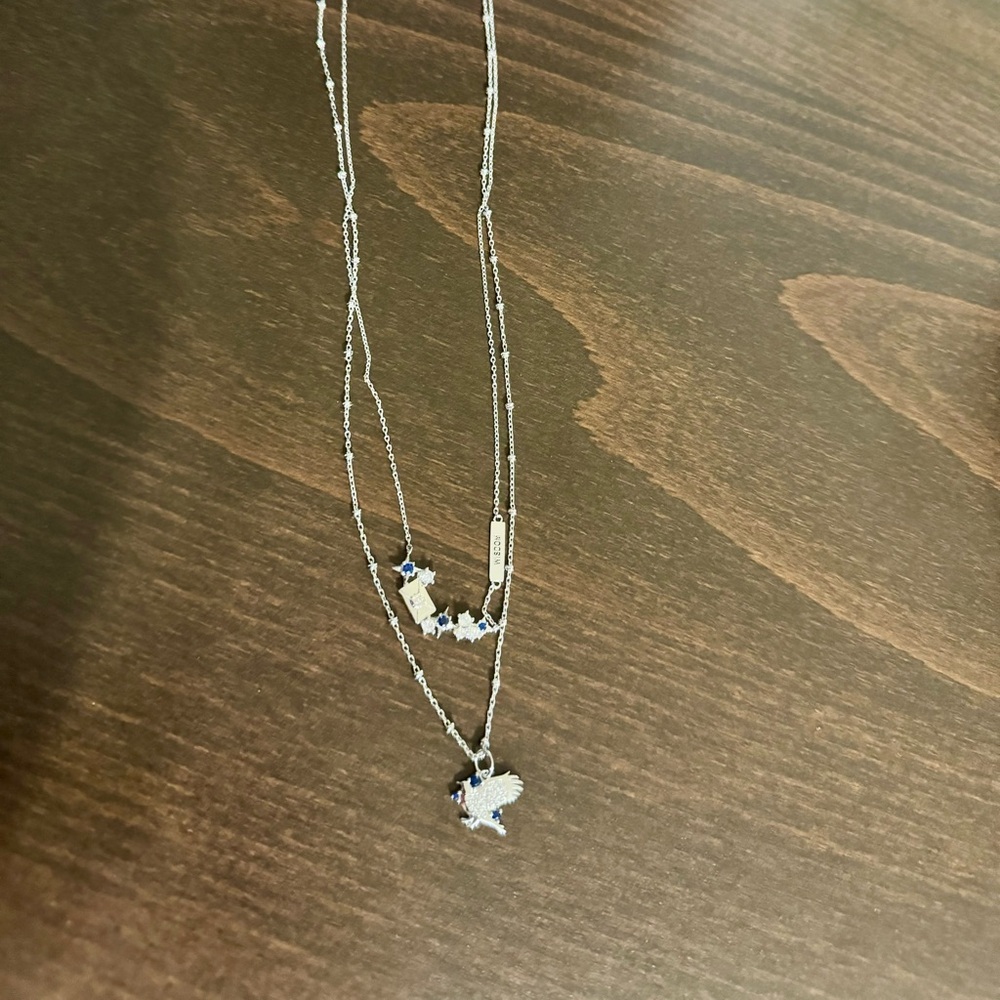 Charmed Aroma Harry Potter Ravenclaw Eagle pendant necklace. New, never worn.
